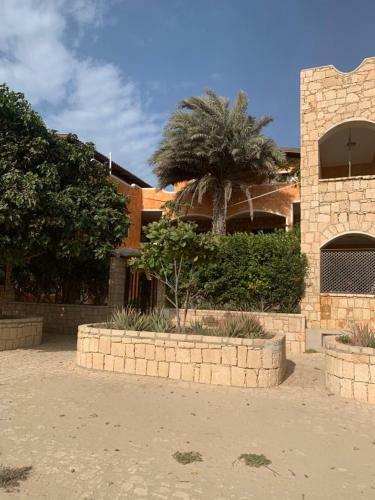 Apartamento Canicola The Palm House