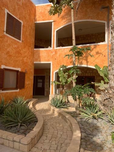 Apartamento Canicola The Palm House