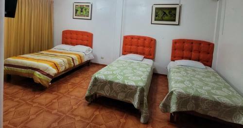 Hostal Hostel D� Alcazar