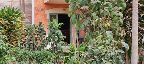Apartamento Sal Service Complex With Pool
