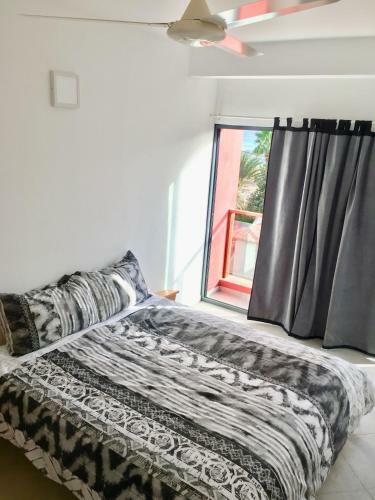 Surfzone Beachside Apartments