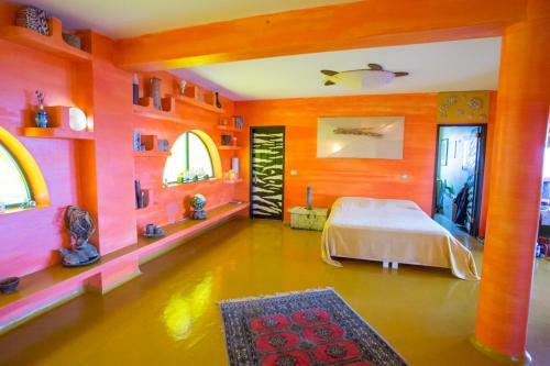 Bed & Breakfast Surfactivity Guest House