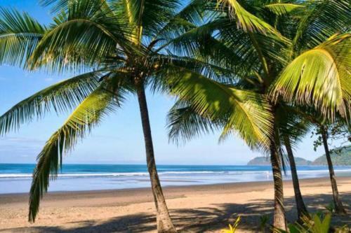 Apartamento Lapa Living Paradise E2