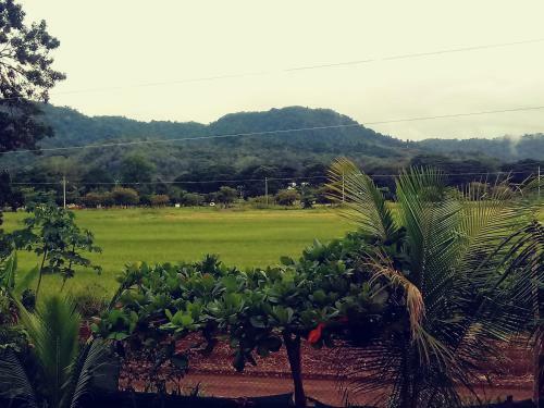 Hostal Jaco Bungalow, Remote Workers, Wifi-ac-pool