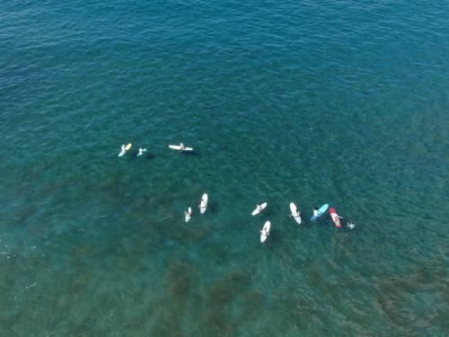 Lodge Surf Synergy Surf Camp