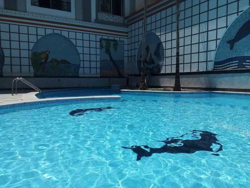 Apartman Ivana