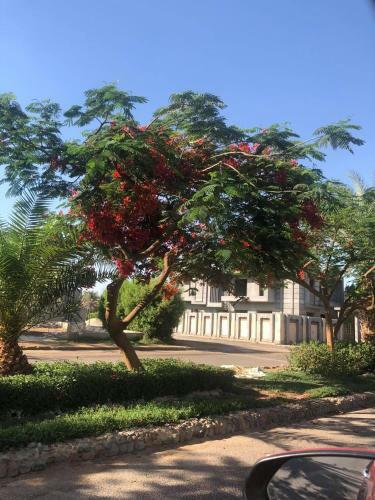 Villa Vila Aja
