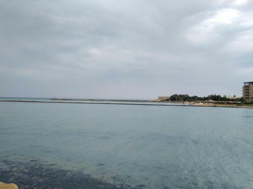 Studio Apartment At Tiba Star