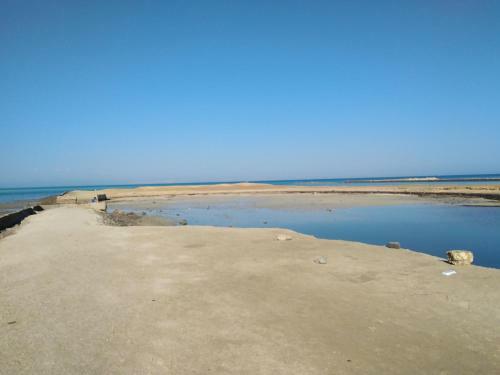 Studio Apartment At Tiba Star