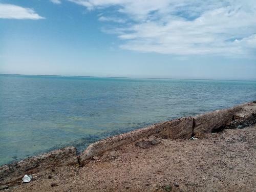 Studio Apartment At Tiba Star
