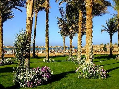 Stella Di Mare Makadi Hurghada Chalet Families Only