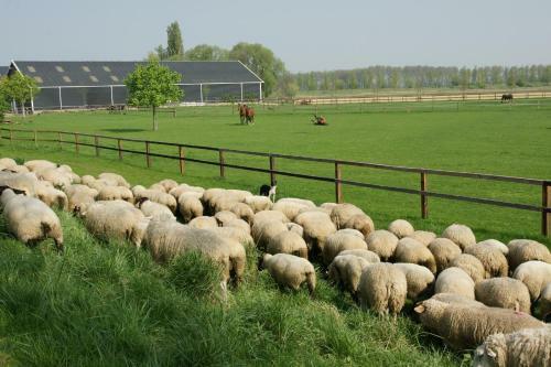 Bed & Breakfast Degouw