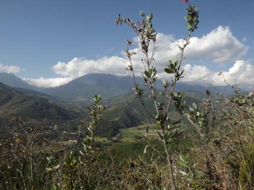 La Casita De Oxapampa