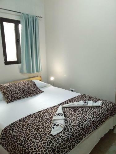Hostal Real Owl Guest House