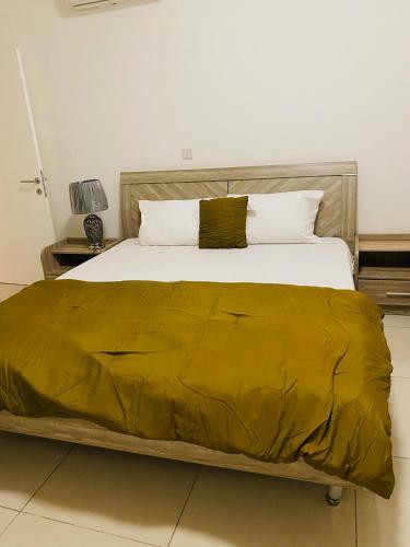 Dr Sarfo Two Bedroom Apartment Cantonments
