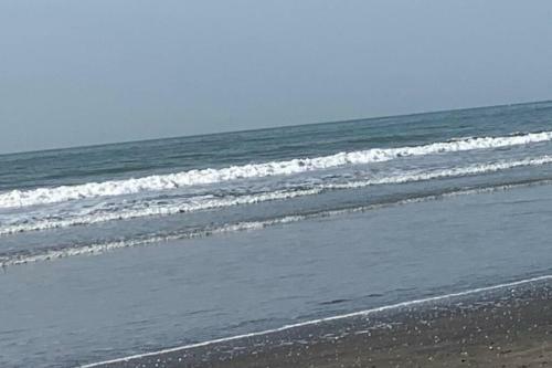 Forest View Luxury Apartment In 3mins Walk To Beach Pool View Wifi