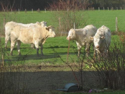 Agroturismo Au Jardin Fleuri