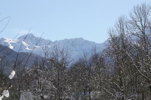 Camping Le Pyr�n�en