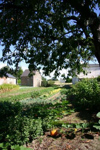 Hostal Studio Du Chalet De Caharet