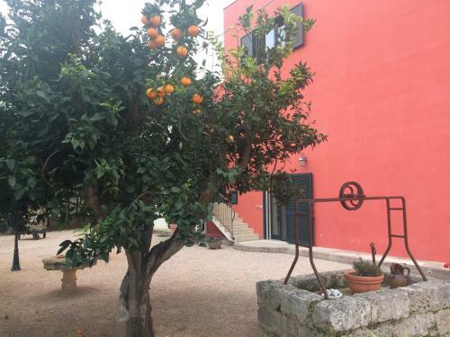 Bed & Breakfast Tenuta Monaci La Murra