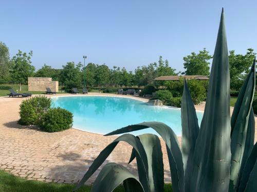 Bed & Breakfast Tenuta Monaci La Murra