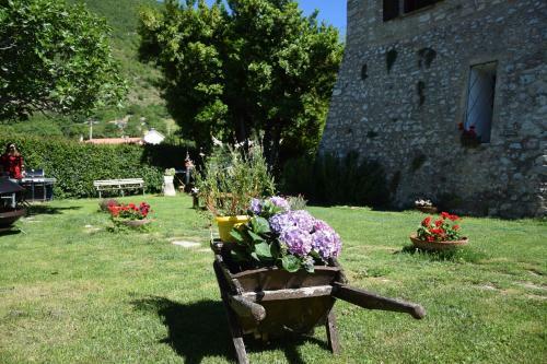 Agroturismo Campagnaincompagnia