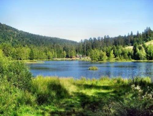 Hotel Chalet R�sidence La Combeaut�