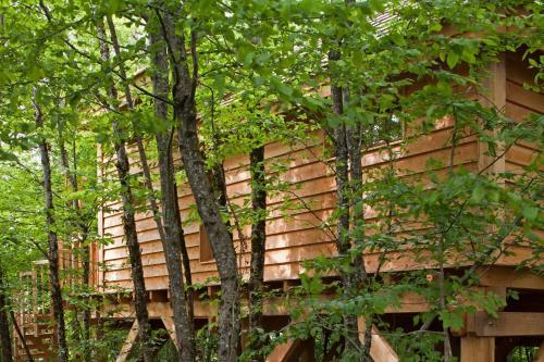 Lodge Cypr�s Si Haut