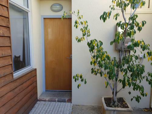 Ellen - Central Fremantle 1 Bedroom Apartment