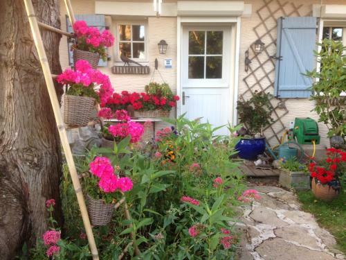 Bed & Breakfast Nature Et Plage