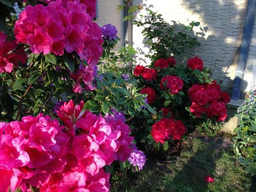 Bed & Breakfast Nature Et Plage