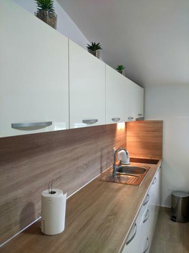 Apartmani Veki