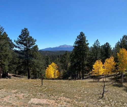 24 Quiver Circle Spectacular Mountain View 5 Acres Pikes Peak