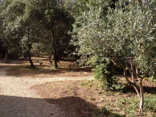 G�tes Le Domaine D'al�zen