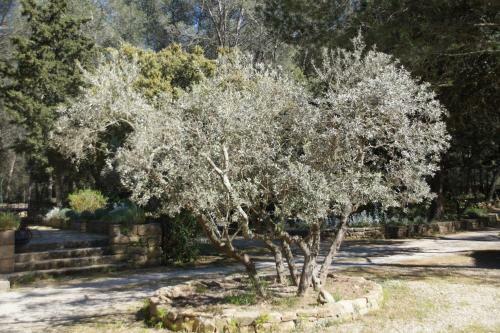 G�tes Le Domaine D'al�zen