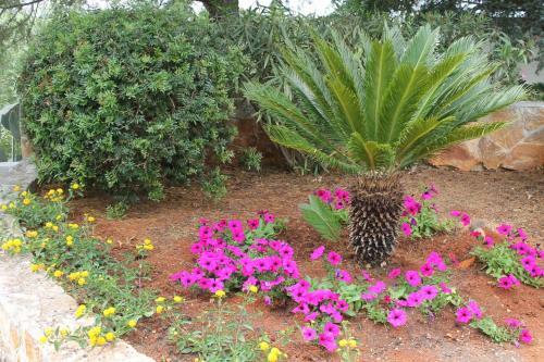 Albachiara Bed & Breakfast