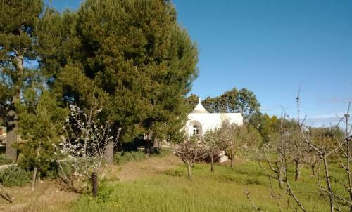 Casa Vacanze Nei Trulli