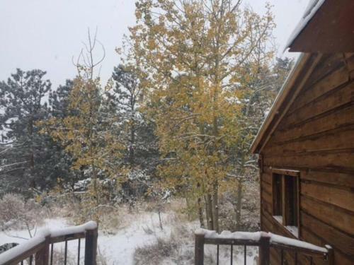 Redtail Retreat - The Studio - Get Off The Grid!