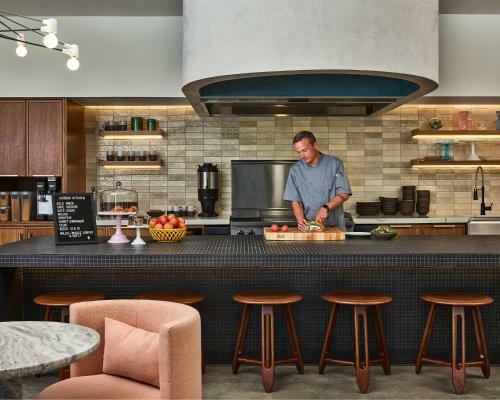 The Catbird Hotel