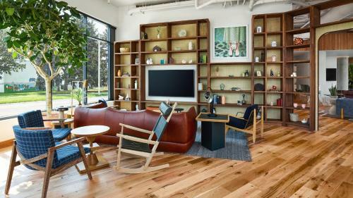 The Catbird Hotel