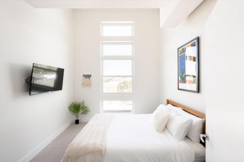 Living La Vida Penthouse Loft - Espadin Lohi