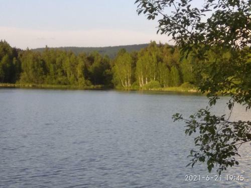 Apartm�n Na Vyhl�dce 353