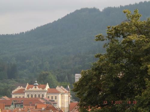 Apartm�n Na Vyhl�dce 353