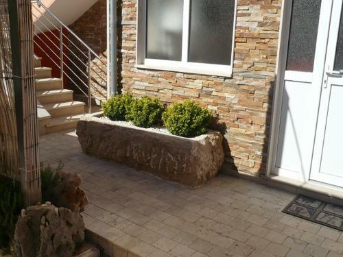 Apartment Villa Martina