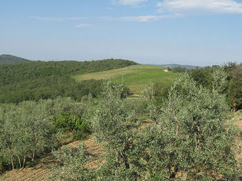 B&B Antiche Rime