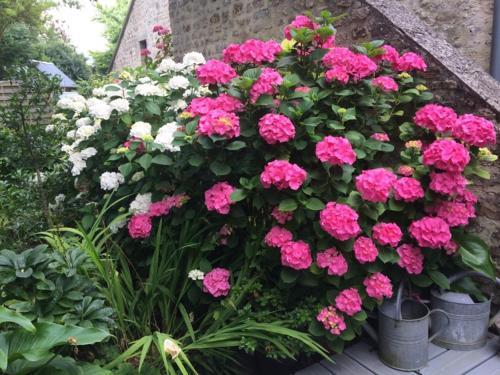 Bed & Breakfast Chambres D'h�tes C�t� Campagne