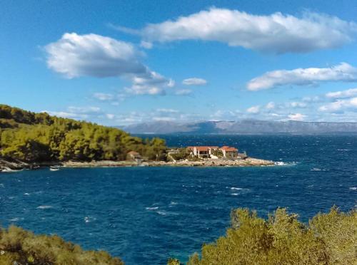 Seaside Holiday House Cove Bristva, Korcula - 14892
