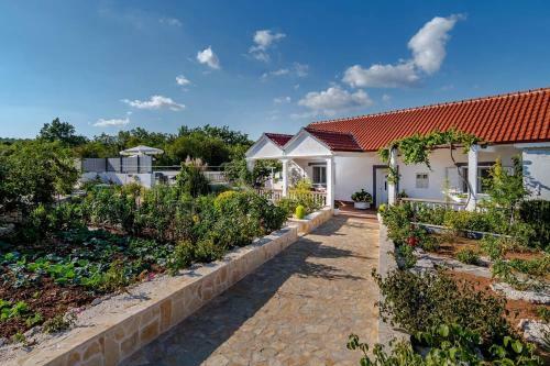 Holiday House Camellia