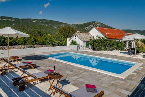 Holiday House Camellia
