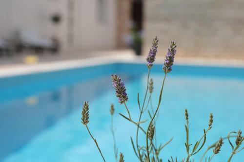 Villa Rural Home Lapis